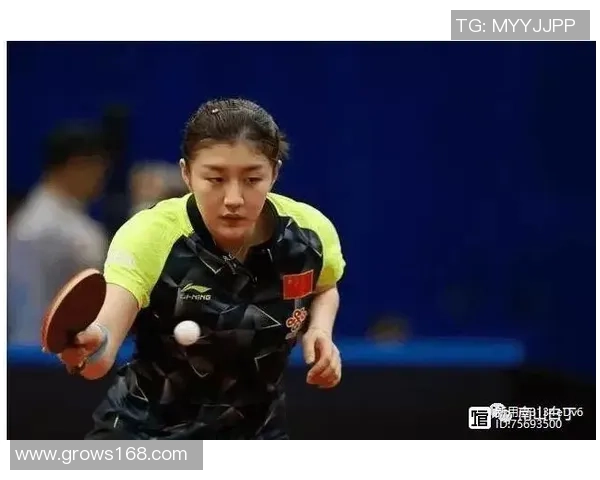 西安网球队进攻策略分析与得失总结探讨